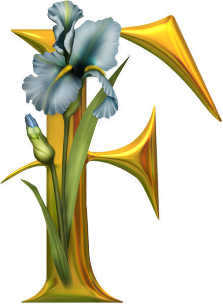 Beautiful Pics Of Alphabet F (440x600)