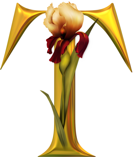 Tube Alphabet - Beautiful Alphabets T (510x600)