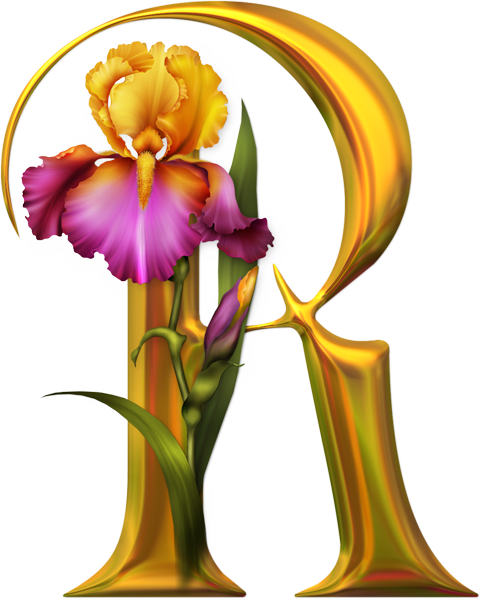 Flower 💞 With R Letter (481x600)