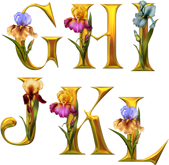 Alphabet Fleurs - Tube Alphabet (580x580)