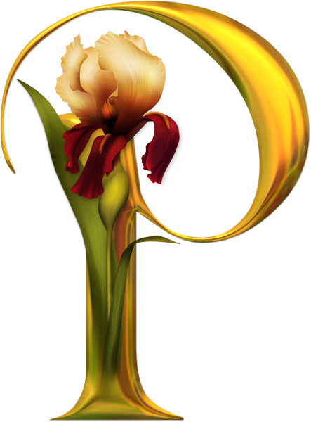 Beautiful Alphabet P (443x600)