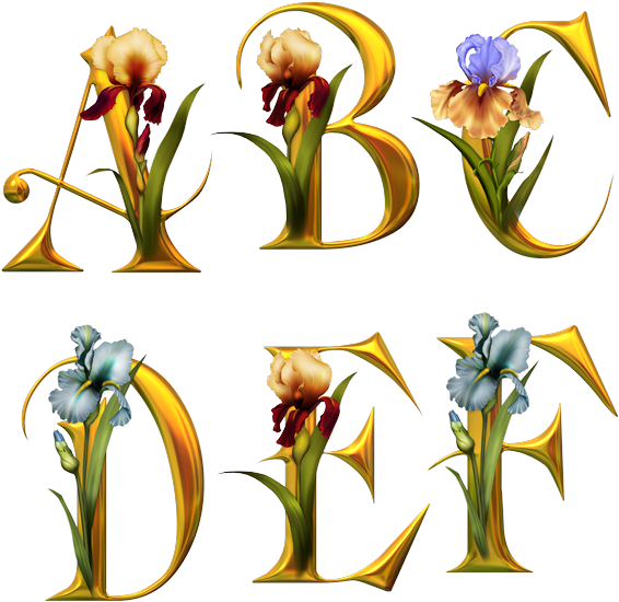 Alphabet Fleurs - Tube Alphabet (580x580)