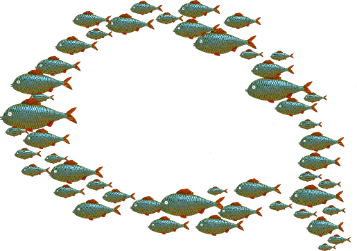 Animal Cells Are Self Sufficient - Glogster (515x362)