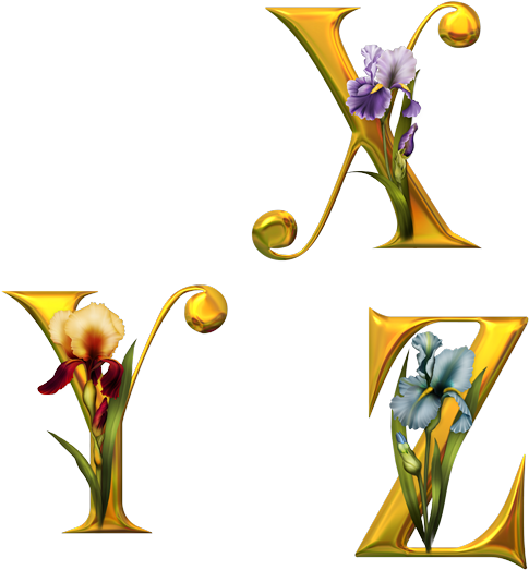 Alphabet Fleurs - Alphabet (580x580)