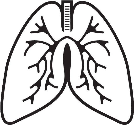 When We Breathe, We Take In - Lungs Clipart Black And White (600x600)