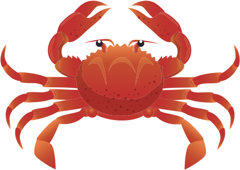 Crab Sea Animal - Animales Del Mar Cangrejo (550x550)