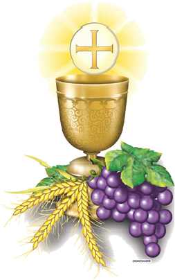 2551 Calice Hos Circulo Pnggggpng 3 481 - Primera Comunion Pan Y Vino (481x491)