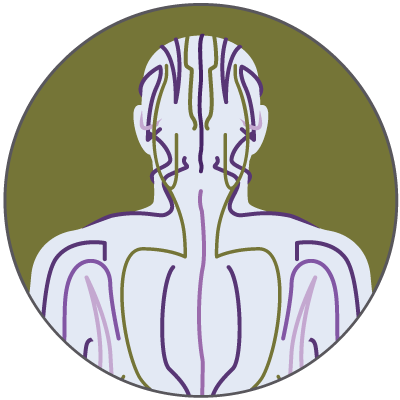 Chapter - Acupressure (400x400)