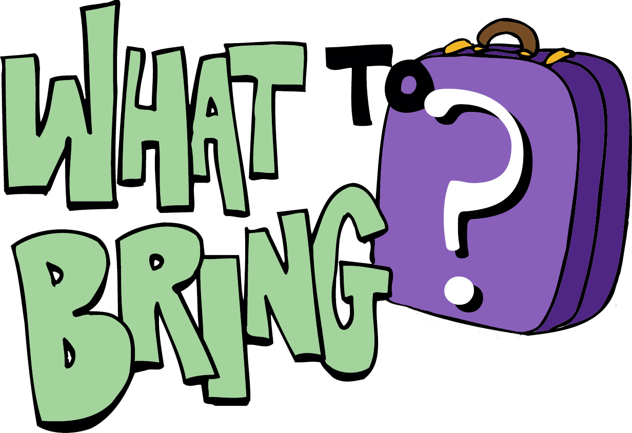 Bring - Packing For A Trip Clipart (1232x844)
