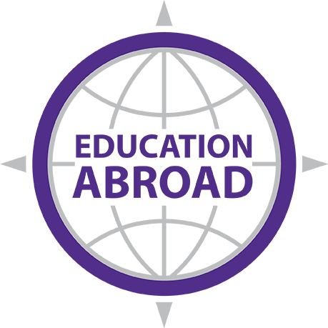 Study Abroad Logo - Fei Logo (459x459)