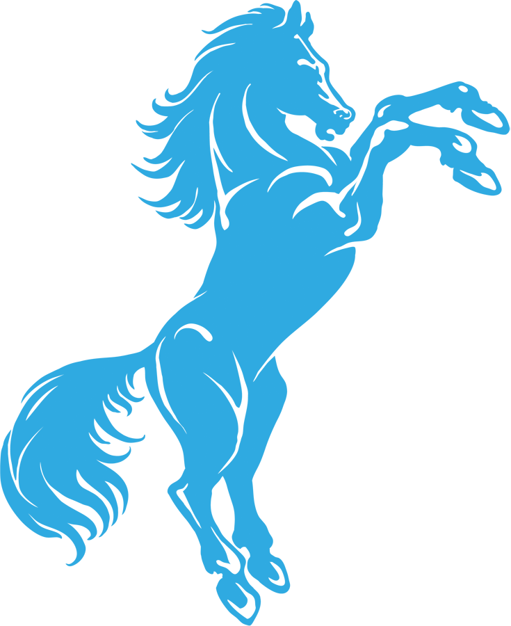 Bronco News Blog - Illustration (735x900)