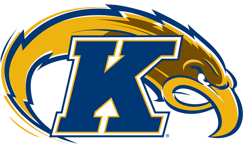 Kent State University Kent, Oh - Kent State Golden Flashes Logo (800x469)