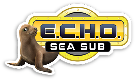 Service Projects - Service (465x300)