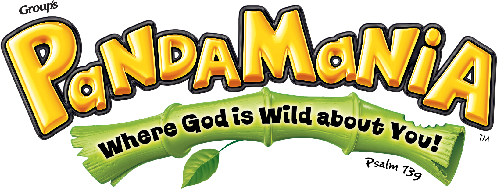 Iron On Transfers Are $2 And For Sale At The Registration - Pandamania Vbs (1800x856)