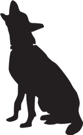 Behavior Training - Dog (500x502)