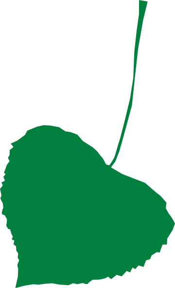 Neon Greeniss Clip Art At Clker - Autumn Leaf Clip Art (360x592)