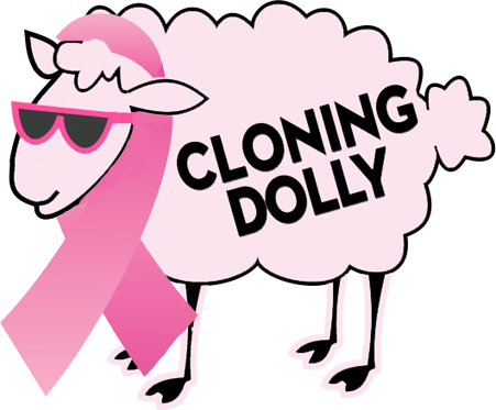 Project Night Night, Casa De Las Madres, Susan G - Dolly (451x373)