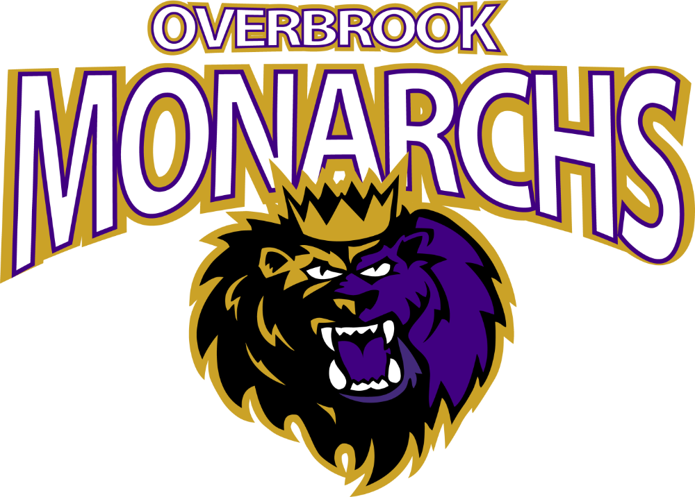 We Are Looking For Donation The Organization Needs - Manchester Monarchs (1000x716)