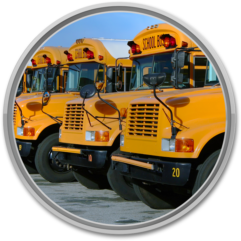 School Bus - Tons Of School Buses (900x900)
