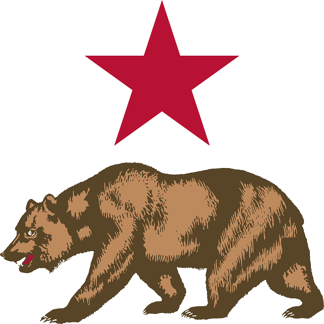 Symbol California, Bear, Star, Symbol - New California Republic Flag (640x640)