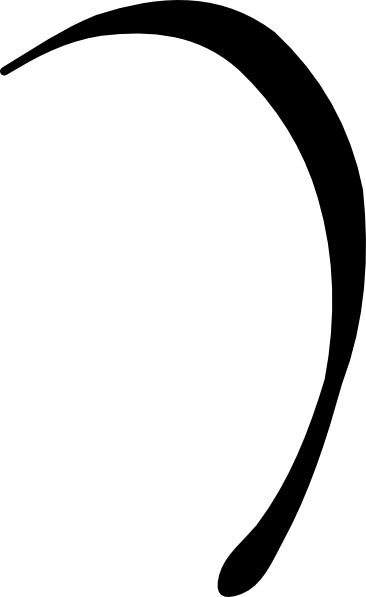 Squiggly Line Clip Art - Clip Art (436x720)