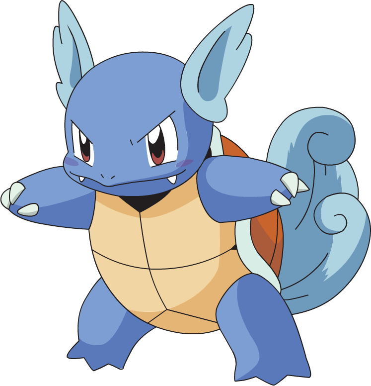 Wartortle Tipo Água - Hot Sale Custom Pokemon Poster Zippered Pillow Case (747x776)