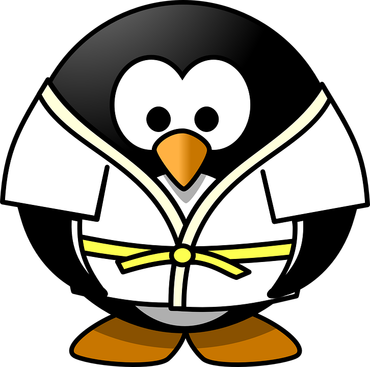 Judo Cliparts 19, Buy Clip Art - Karate Penguin Shower Curtain (726x720)