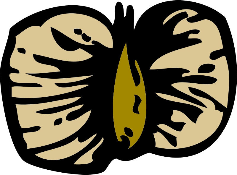 Birch Clipart Free For Download - Clip Art (800x592)