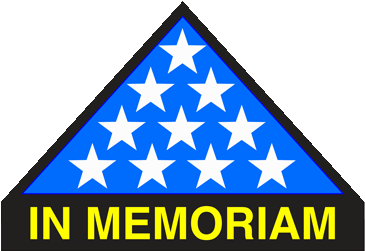 Thank You Frog - Folded Flag In Honor Pin (400x400)
