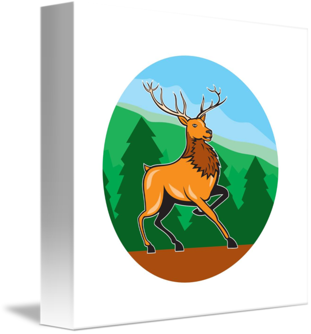 Elk (606x650)