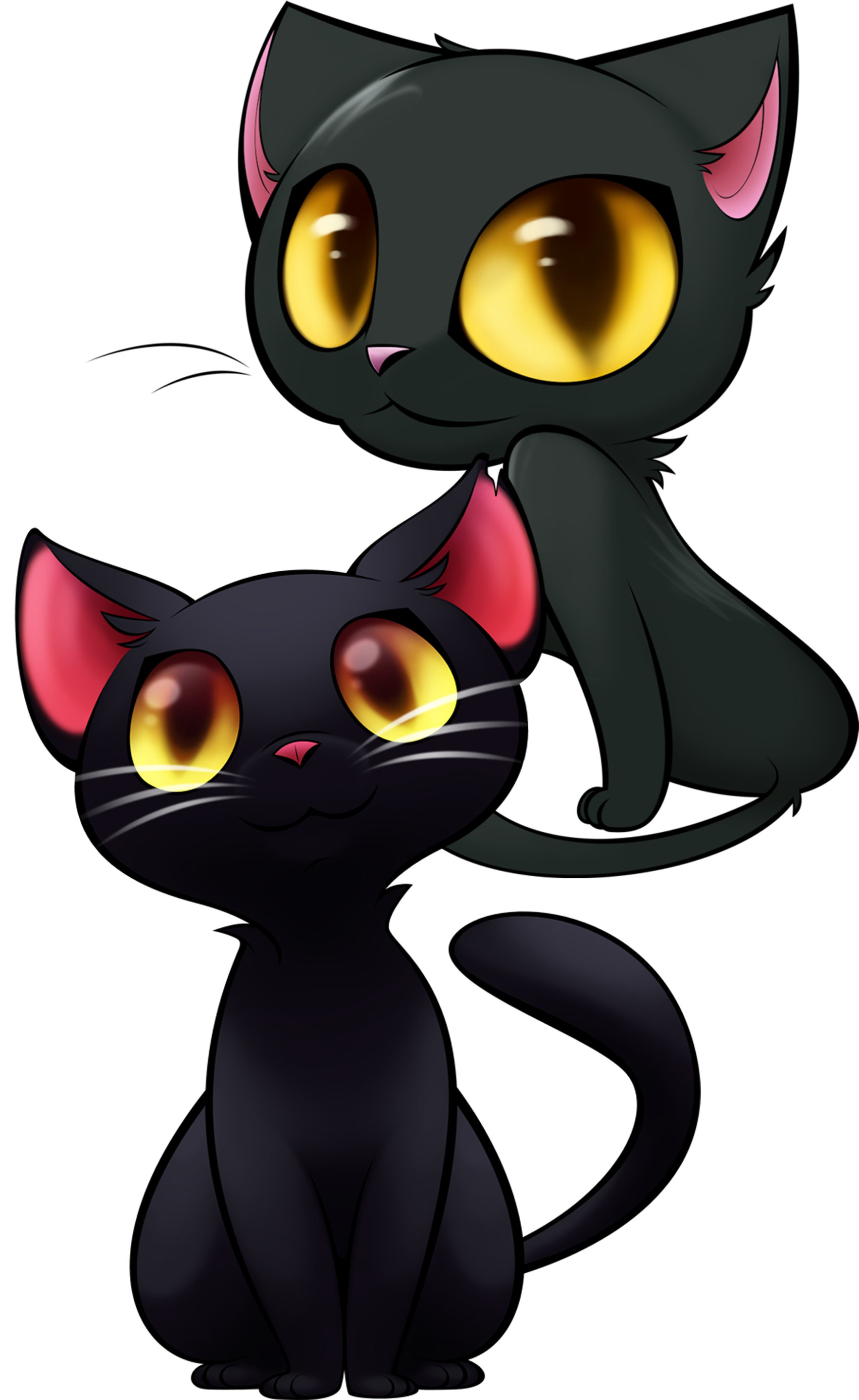 Contact Us - Friday The 13th Black Cat (1778x2903)