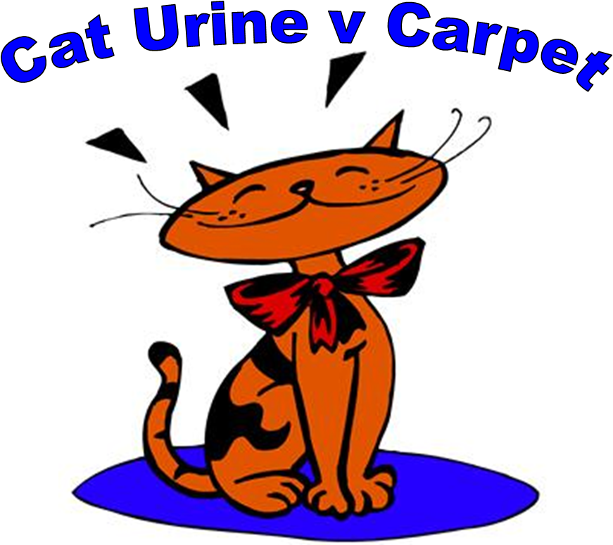 Cat Urine Versus Carpet - Essential Microsoft Office Skills For Teachers And (871x775)