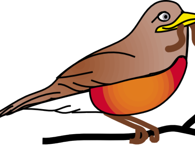 Robin Cliparts - Robin Clip Art (640x480)