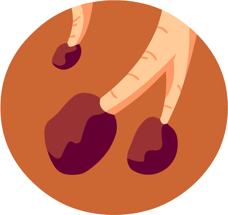 Topics - Endocrine System Icon Png (880x880)