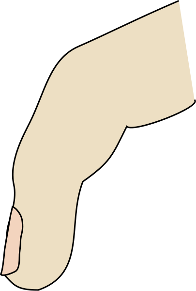 Index Finger (405x600)