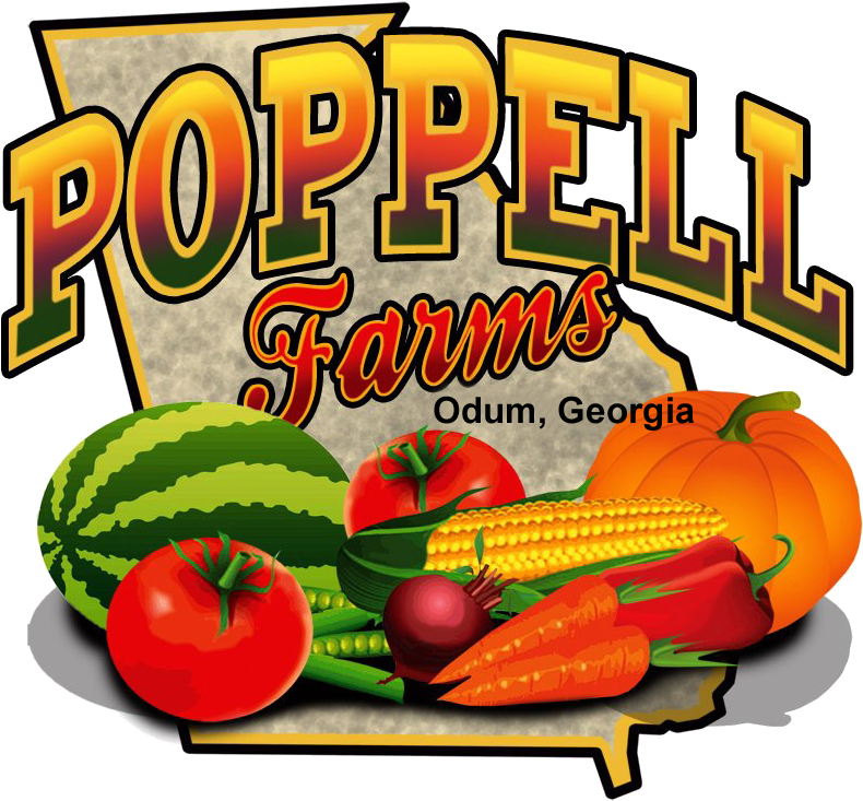 Explore The Corn Maze And Pick The Perfect Pumpkin - Poppell Farms (865x808)