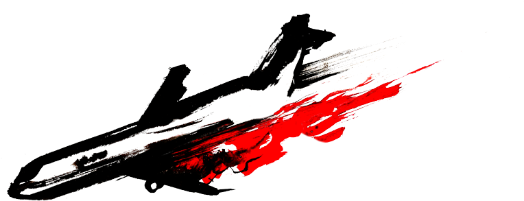 Plane Crash - Accident (1200x400)
