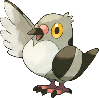 It Will Know Either The Plus Or Minus Abilities - Black And White Bird Pokemon (384x380)