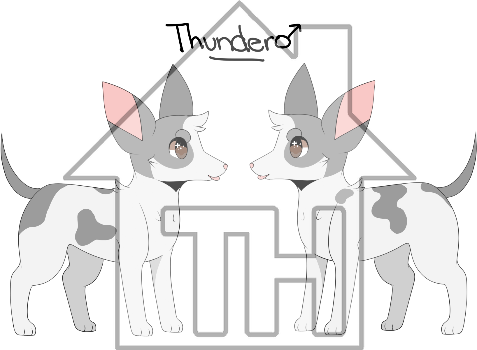 Recent Images - Companion Dog (1700x1200)