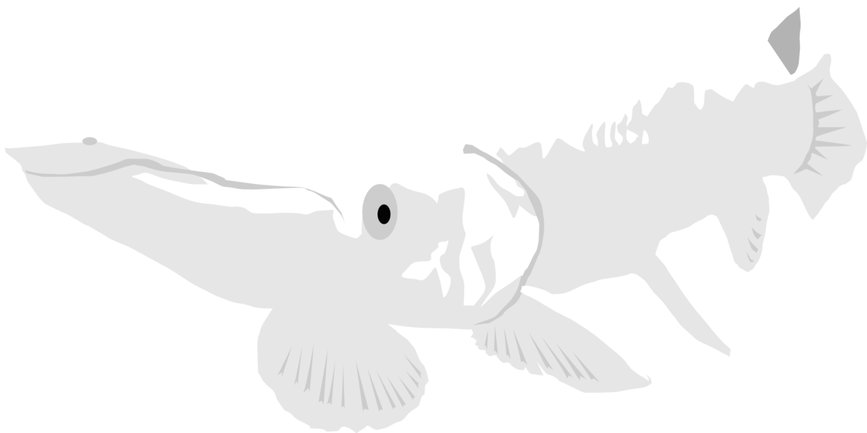 Albino Alligator Gar By Michell - Albino Alligator Gar Png (1264x631)