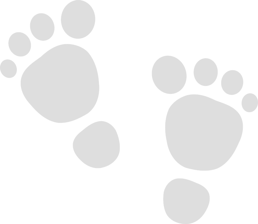 Cartoon Baby Feet 18, Buy Clip Art - Baby Feet Clip Art (830x720)