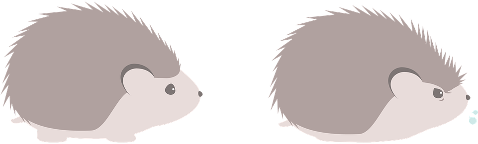 Cartoon Hedgehog Cliparts 20, Buy Clip Art - Porcupine (960x480)