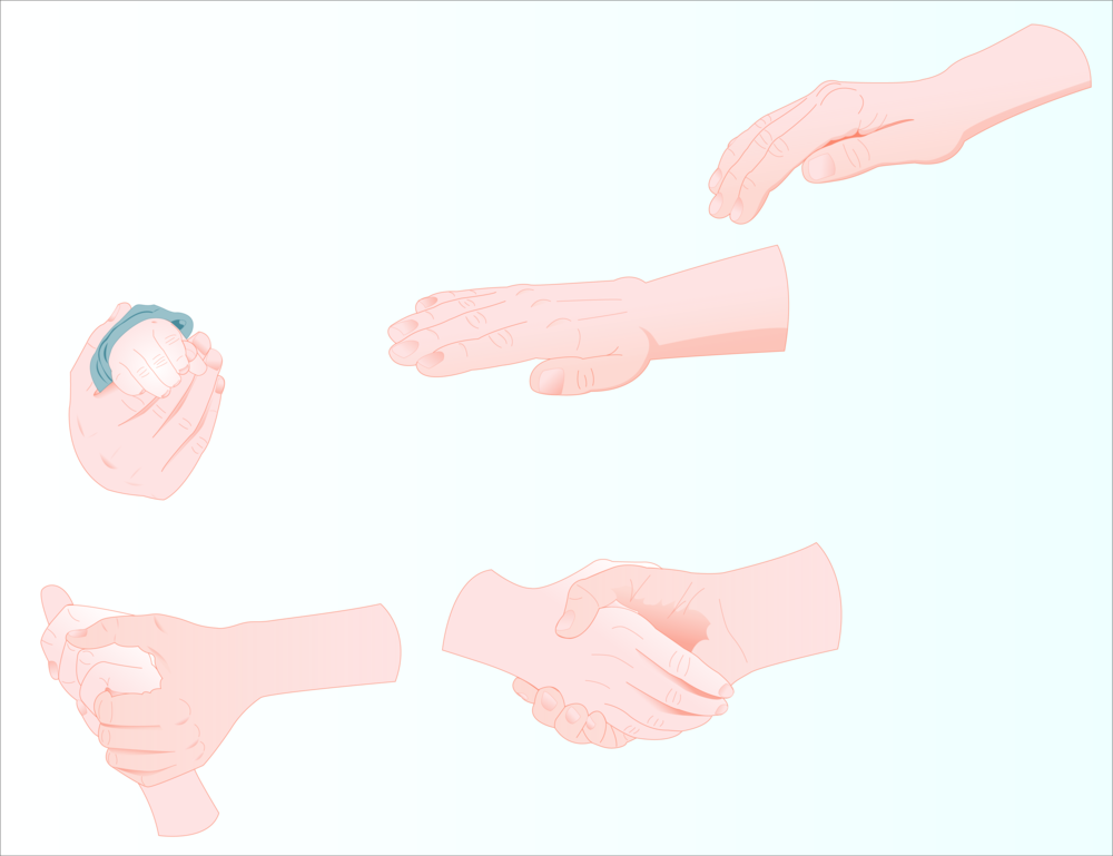 Illustrated Library Of Hands - Illustrated Library Of Hands (1000x769)