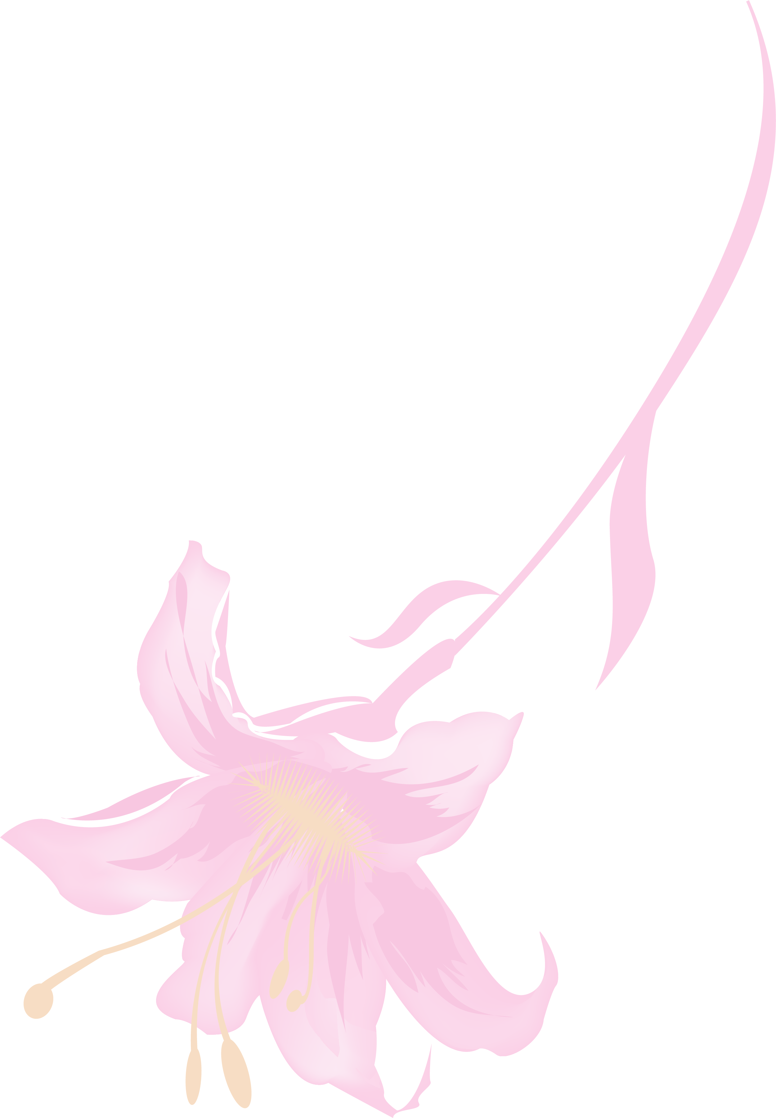 Petal Flora Illustration - Petal Flora Illustration (2501x3601)