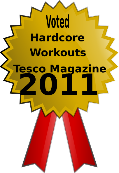 Gold Medal Clip Art (408x593)