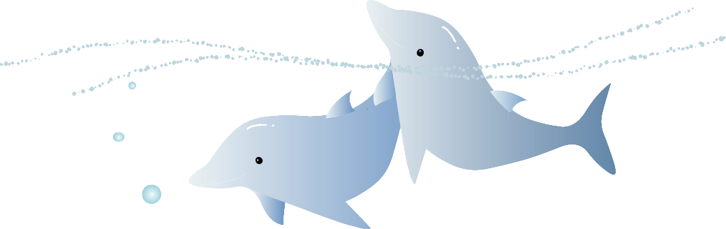 Dolphin Logo Brand - Dolphin Logo Brand (1040x328)