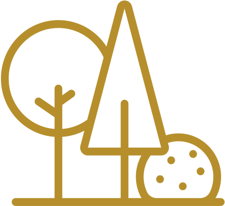 Activity Program - Ecology (581x424)