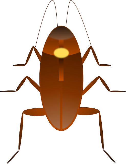Bug Cockroach, Insect, Ugly, Bug - Imagenes De Cucarachas En Caricatura (492x640)