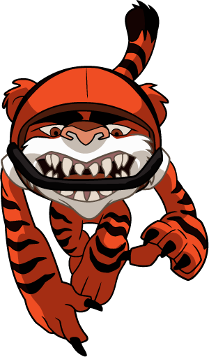 Nfl Rusher - Cincinnati Bengals Nfl Rush Zone Team Pass-age Oyo (300x511)