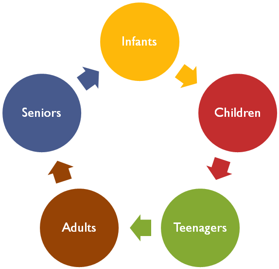 The Science Of Nutrition - Nutrition Through The Life Cycle (877x556)